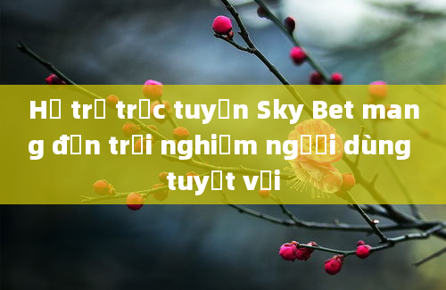 Hỗ trợ trực tuyến Sky Bet mang đến trải nghiệm người dùng tuyệt vời