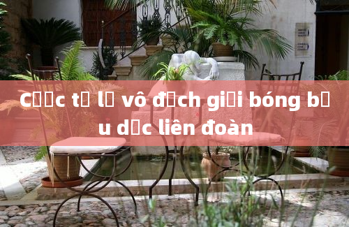 Cược tỷ lệ vô địch giải bóng bầu dục liên đoàn