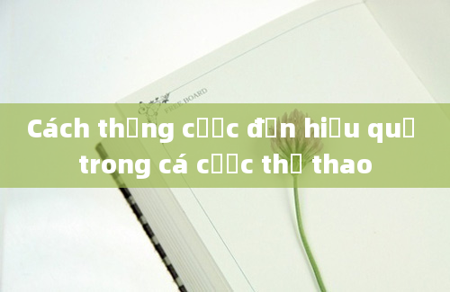 Cách thắng cược đơn hiệu quả trong cá cược thể thao