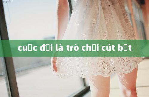 cuộc đời là trò chơi cút bắt