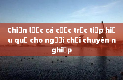 Chiến lược cá cược trực tiếp hiệu quả cho người chơi chuyên nghiệp