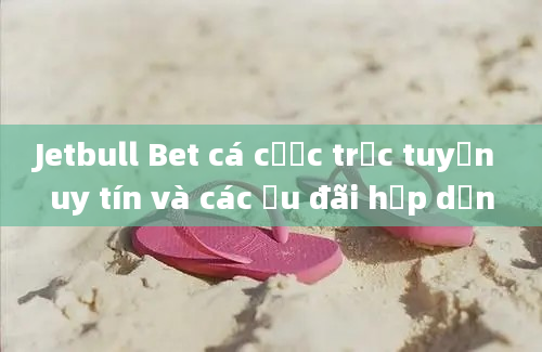 Jetbull Bet cá cược trực tuyến uy tín và các ưu đãi hấp dẫn