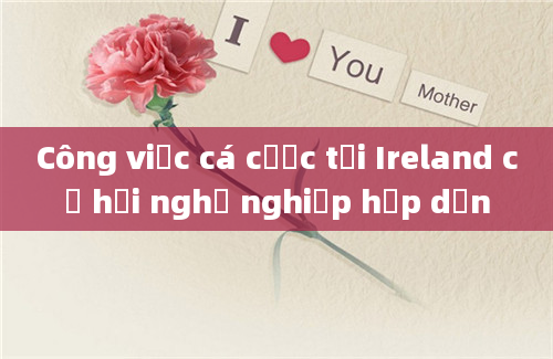 Công việc cá cược tại Ireland cơ hội nghề nghiệp hấp dẫn