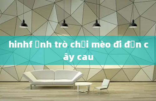 hinhf ảnh trò chơi mèo đi đến cây cau