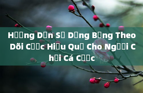 Hướng Dẫn Sử Dụng Bảng Theo Dõi Cược Hiệu Quả Cho Người Chơi Cá Cược