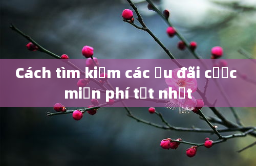 Cách tìm kiếm các ưu đãi cược miễn phí tốt nhất