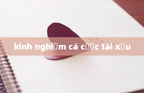 kinh nghiệm cá cược tài xỉu