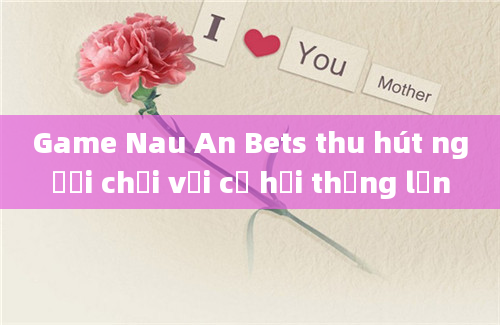 Game Nau An Bets thu hút người chơi với cơ hội thắng lớn