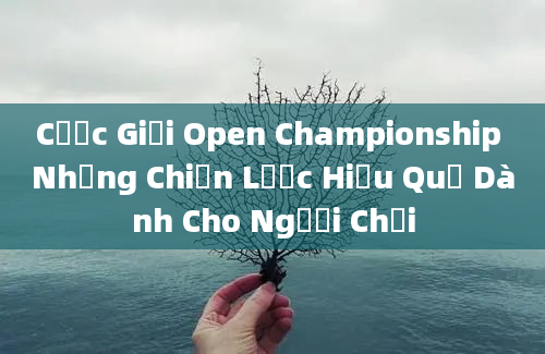 Cược Giải Open Championship Những Chiến Lược Hiệu Quả Dành Cho Người Chơi