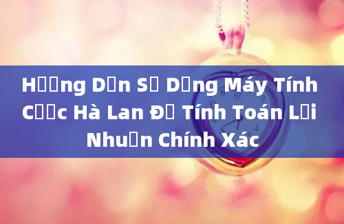 Hướng Dẫn Sử Dụng Máy Tính Cược Hà Lan Để Tính Toán Lợi Nhuận Chính Xác