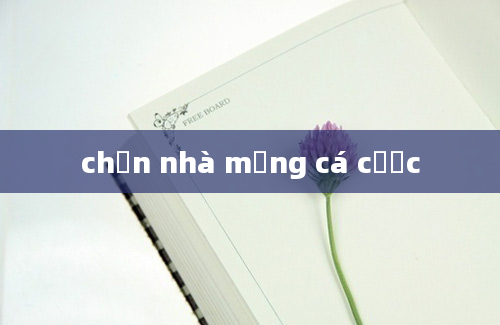 chọn nhà mạng cá cược