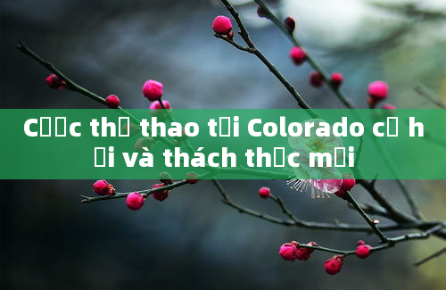 Cược thể thao tại Colorado cơ hội và thách thức mới