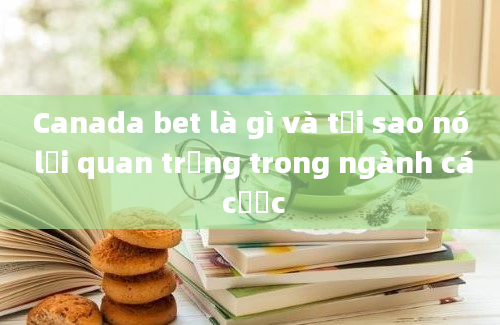 Canada bet là gì và tại sao nó lại quan trọng trong ngành cá cược