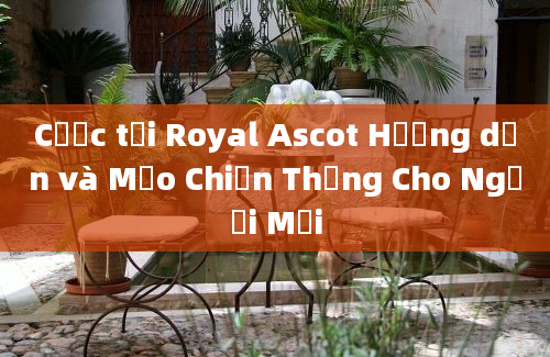 Cược tại Royal Ascot Hướng dẫn và Mẹo Chiến Thắng Cho Người Mới