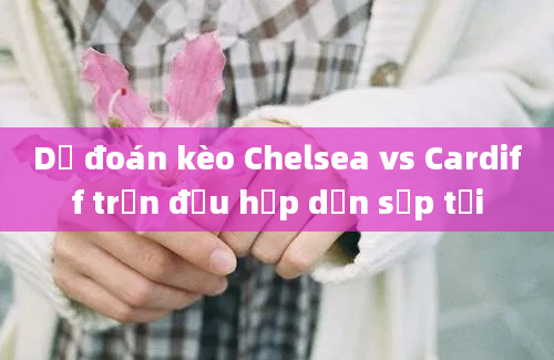 Dự đoán kèo Chelsea vs Cardiff trận đấu hấp dẫn sắp tới