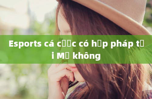 Esports cá cược có hợp pháp tại Mỹ không