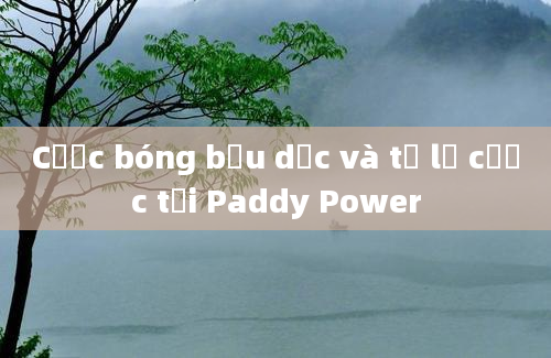 Cược bóng bầu dục và tỷ lệ cược tại Paddy Power