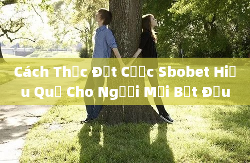 Cách Thức Đặt Cược Sbobet Hiệu Quả Cho Người Mới Bắt Đầu