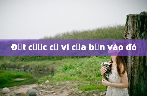 Đặt cược cả ví của bạn vào đó