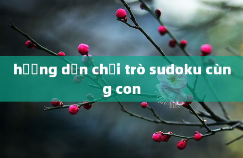 hướng dẫn chơi trò sudoku cùng con