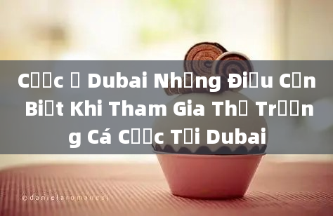 Cược ở Dubai Những Điều Cần Biết Khi Tham Gia Thị Trường Cá Cược Tại Dubai