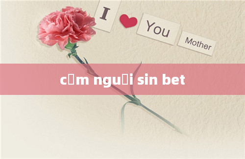 cơm nguọi sin bet