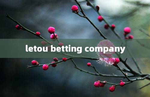 letou betting company