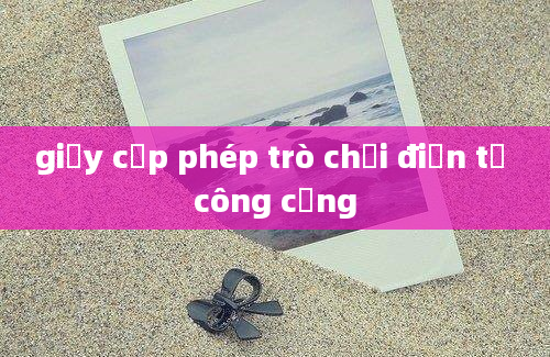 giấy cấp phép trò chơi điện tử công cộng