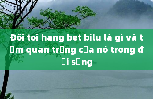 Đôi toi hang bet bilu là gì và tầm quan trọng của nó trong đời sống