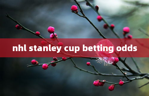 nhl stanley cup betting odds