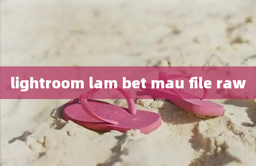 lightroom lam bet mau file raw