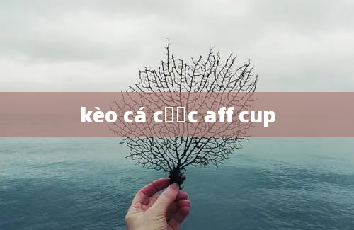 kèo cá cược aff cup