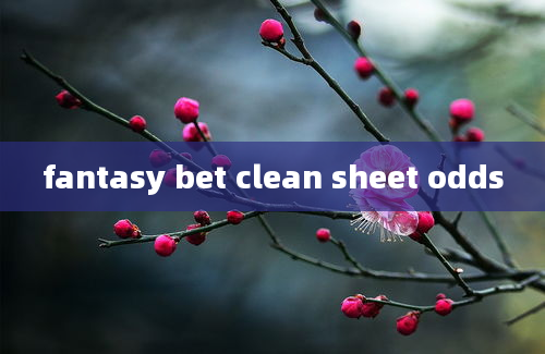 fantasy bet clean sheet odds