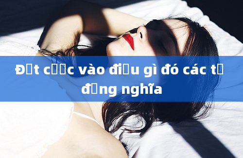 Đặt cược vào điều gì đó các từ đồng nghĩa