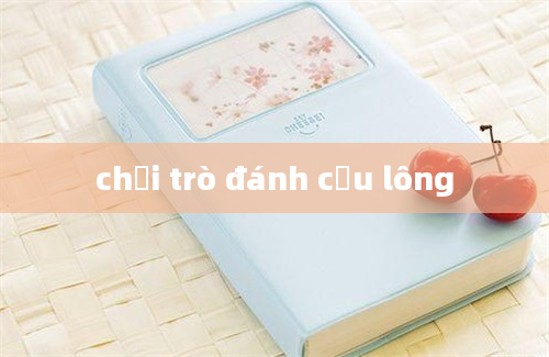 chơi trò đánh cầu lông