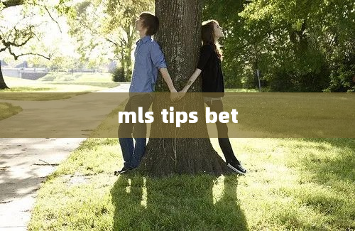 mls tips bet