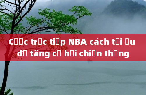 Cược trực tiếp NBA cách tối ưu để tăng cơ hội chiến thắng