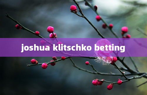 joshua klitschko betting