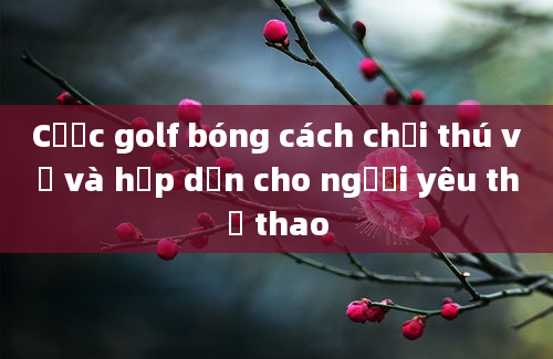 Cược golf bóng cách chơi thú vị và hấp dẫn cho người yêu thể thao