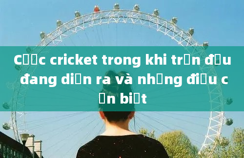 Cược cricket trong khi trận đấu đang diễn ra và những điều cần biết