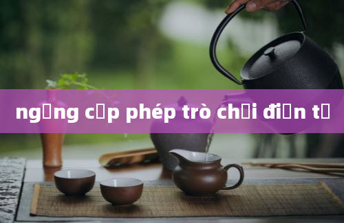 ngưng cấp phép trò chơi điện tử