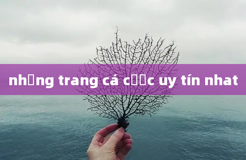 những trang cá cược uy tín nhat