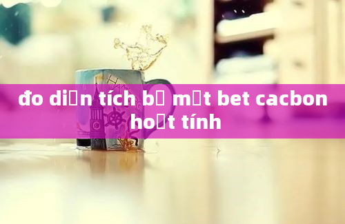 đo diện tích bề mặt bet cacbon hoạt tính