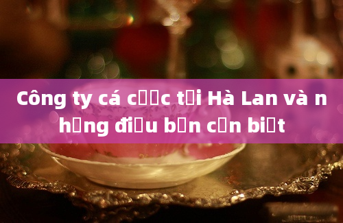 Công ty cá cược tại Hà Lan và những điều bạn cần biết