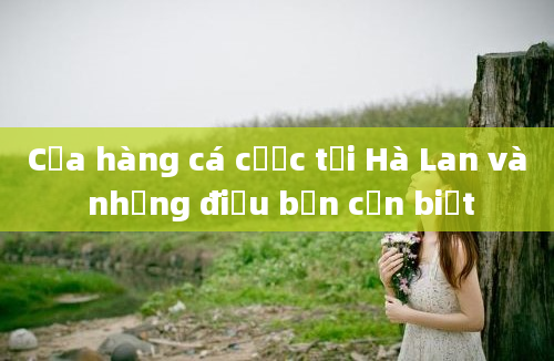 Cửa hàng cá cược tại Hà Lan và những điều bạn cần biết