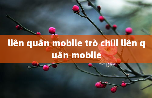 liên quân mobile trò chơi liên quân mobile