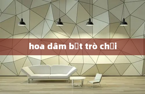 hoa dâm bụt trò chơi