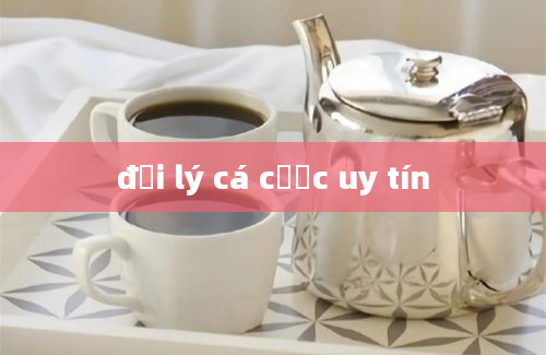 đại lý cá cược uy tín