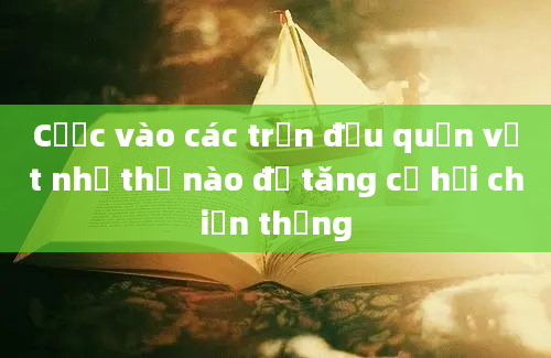 Cược vào các trận đấu quần vợt như thế nào để tăng cơ hội chiến thắng