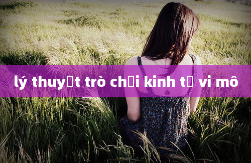 lý thuyết trò chơi kinh tế vi mô